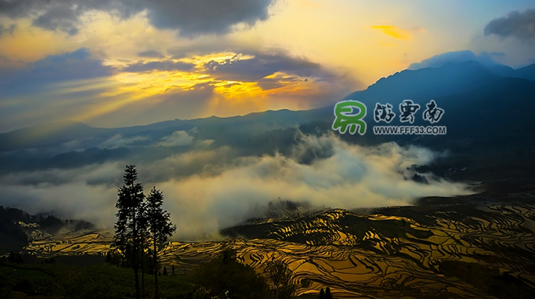易游云南,元陽梯田拍攝。