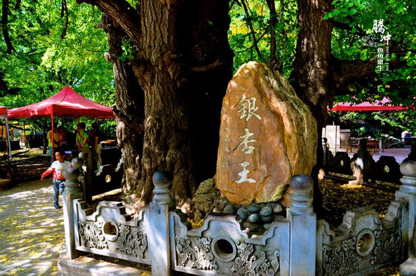 保山、怒江大峽谷、丙中洛、澡堂會(huì)址、騰沖和順僑鄉(xiāng)、熱海雙飛七日旅游